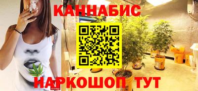 крисы Пенза